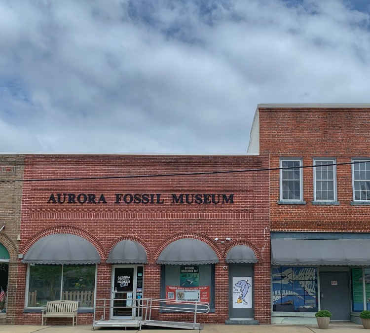 Aurora Fossil Museum (Aurora,&nbspNC)